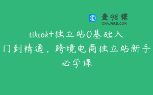 tiktok+独立站0基础入门到精通，跨境电商独立站新手必学课