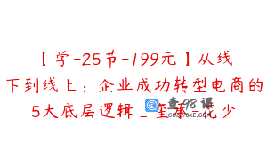 【学-25节-199元】从线下到线上：企业成功转型电商的5大底层逻辑_玺承-花少
