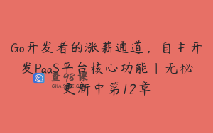 Go开发者的涨薪通道，自主开发PaaS平台核心功能|无秘更新中第12章