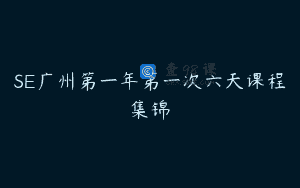 SE广州第一年第一次六天课程集锦