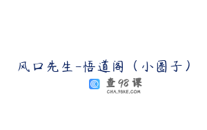 风口先生-悟道阁（小圈子）