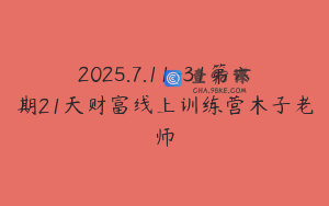 2025.7.11-31第六期21天财富线上训练营木子老师