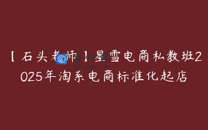 【石头老师】星雪电商私教班2025年淘系电商标准化起店