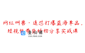 网红叫兽·连怼打爆蓝海单品，短视频带货好物分享实战课
