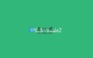 MBBModule2