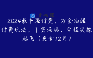 2024最牛强付费，万金油强付费玩法，干货满满，全程实操起飞（更新12月）