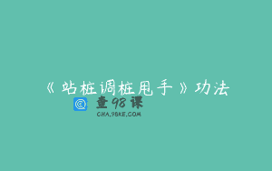 《站桩调桩甩手》功法