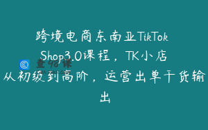 跨境电商东南亚TikTok Shop3.0课程，TK小店从初级到高阶，运营出单干货输出