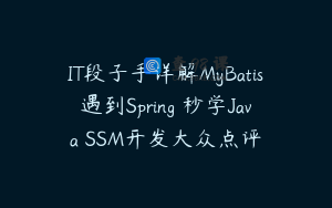 IT段子手详解MyBatis遇到Spring 秒学Java SSM开发大众点评