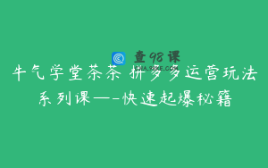 牛气学堂茶茶•拼多多运营玩法系列课—-快速起爆秘籍