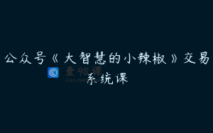 公众号《大智慧的小辣椒》交易系统课
