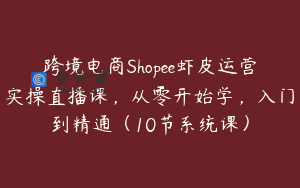 跨境电商Shopee虾皮运营实操直播课，从零开始学，入门到精通（10节系统课）