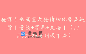 猫课子幽淘宝天猫精细化爆品运营【音频+字幕+文档】（11月22-24杭州线下课）