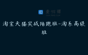 淘宝天猫实战陪跑班-淘系高级班