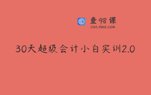 30天超级会计小白实训2.0