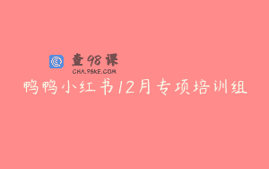 鸭鸭小红书12月专项培训组
