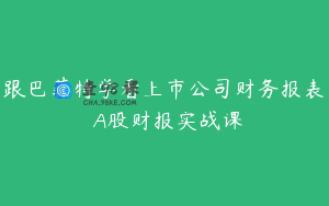 跟巴菲特学看上市公司财务报表 A股财报实战课