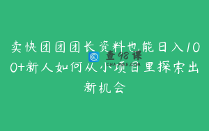 卖快团团团长资料也能日入100+新人如何从小项目里探索出新机会