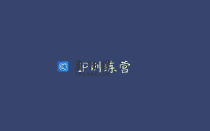 IP训练营