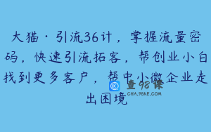 大猫·引流36计，掌握流量密码，快速引流拓客，帮创业小白找到更多客户，帮中小微企业走出困境