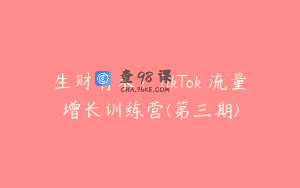 生财有术：TikTok 流量增长训练营(第三期)