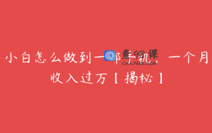 小白怎么做到一部手机,一个月收入过万【揭秘】