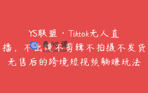 YS联盟·Tiktok无人直播，不出镜不剪辑不拍摄不发货无售后的跨境短视频躺赚玩法