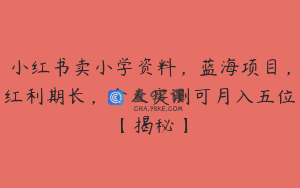小红书卖小学资料，蓝海项目，红利期长，个人实测可月入五位【揭秘】