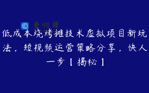 低成本烧烤摊技术虚拟项目新玩法，短视频运营策略分享，快人一步【揭秘】