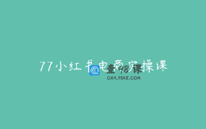 77小红书电商实操课