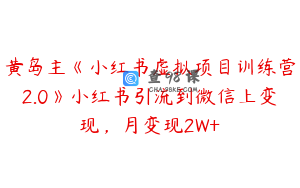 黄岛主《小红书虚拟项目训练营2.0》小红书引流到微信上变现，月变现2W+