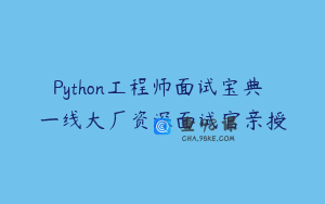 Python工程师面试宝典 一线大厂资深面试官亲授