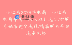 小红书2024年电商，小红书电商布局：从入驻到选品/拆解店铺搭建全流程/精准解析平台流量优势