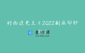 村西边老王《2022副业印钞社》