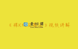 《裸K线交易法》视频讲解
