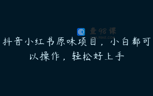抖音小红书原味项目，小白都可以操作，轻松好上手