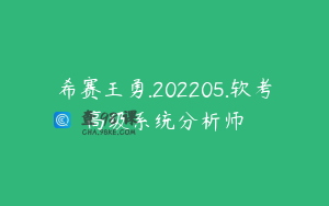 希赛王勇.202205.软考高级系统分析师