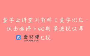 量学云讲堂刘智辉《量学识庄·伏击涨停》40期 量波段位课七段