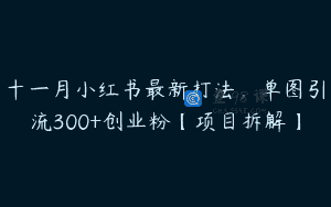 十一月小红书最新打法，单图引流300+创业粉【项目拆解】