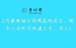 2月最新细分领域落地项目，新手小白也可快速上手，月入1