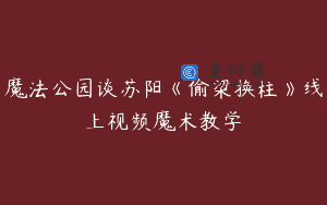 魔法公园谈苏阳《偷梁换柱》线上视频魔术教学