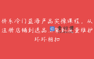 拼系冷门蓝海产品实操课程，从注册店铺到选品上架到流量维护环环相扣