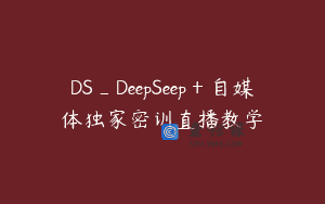 DS_DeepSeep＋自媒体独家密训直播教学