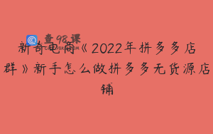新奇电商《2022年拼多多店群》新手怎么做拼多多无货源店铺