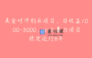 美金对冲创业项目，日收益1000-3000，小众暴力项目稳定运行8年