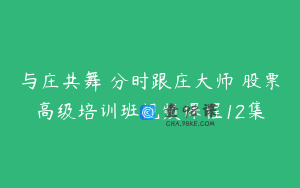 与庄共舞 分时跟庄大师 股票高级培训班视频课程12集