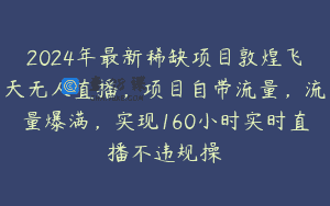 2024年最新稀缺项目敦煌飞天无人直播，项目自带流量，流量爆满，实现160小时实时直播不违规操