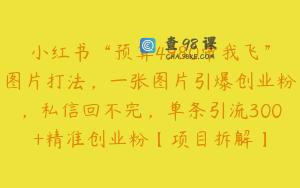 小红书“预算4980带我飞”图片打法,一张图片引爆创业粉,私信回不完,单条引流300+精准创业粉【项目拆解】