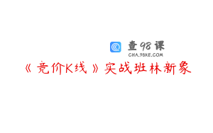 《竞价K线》实战班林新象