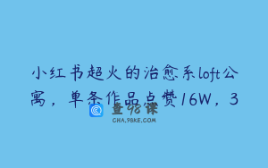 小红书超火的治愈系loft公寓，单条作品点赞16W，3